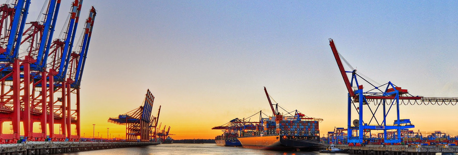 Complete service for international trading